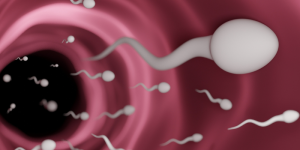 Automatisch gespeicherter Entwurf 520