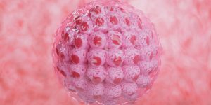 Chromosomen-Kopierfehler in der Embryonalentwicklung lokalisiert