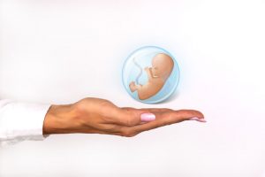 Durchbruch in der Fruchtbarkeitsbehandlung: Prostaglandin-Rezeptoren fördern die Einnistung des Embryos