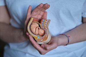 KI könnte den Erfolg einer IVF-Behandlung verbessern 2