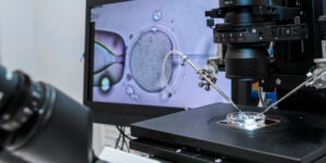 Neue Trends bei Fruchtbarkeitsbehandlungen 3