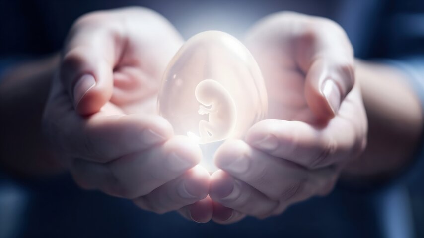 Künstliche Gebärmutter (Ektogenese): Können Babys künftig außerhalb des menschlichen Körpers heranwachsen? 1