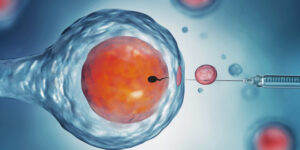IVF-Vorbereitung: Der Schritt-für-Schritt-Plan für Frauen mit Kinderwunsch 4