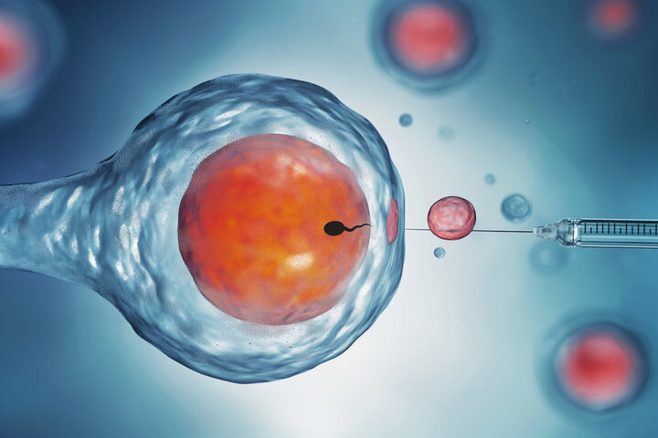 IVF-Vorbereitung: Der Schritt-für-Schritt-Plan für Frauen mit Kinderwunsch 4