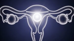 Wenn der Embryo anklopft: Wie die Gebärmutter über eine Schwangerschaft „entscheidet“