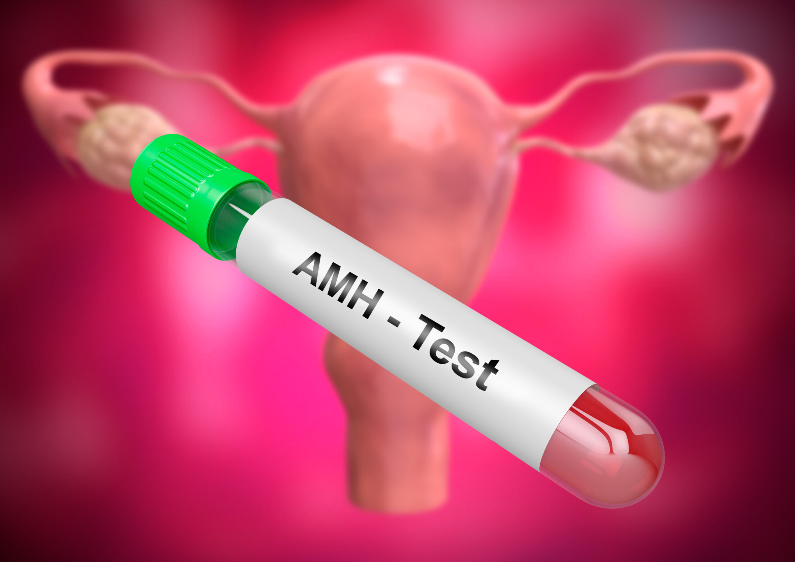 AMH-Wert und Kinderwunsch: Kann ein Bluttest wirklich zeigen, wie fruchtbar man ist? 1 AMH-Wert und Kinderwunsch: Kann ein Bluttest wirklich zeigen, wie fruchtbar man ist? 1