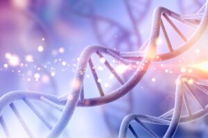 Embryonen ohne Biopsie genetisch untersuchen: Wie weit ist die neue IVF-Technologie? 2
