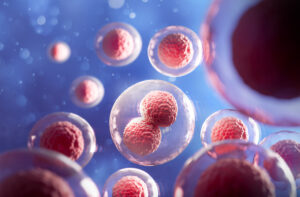 Time-Lapse-Embryokultur: Können Kameras helfen, den besten Embryo auszuwählen? 2